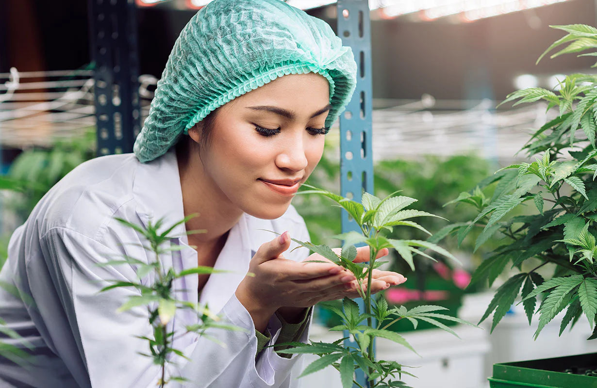 Science Has Demonstrated The Therapeutic Value Of Cannabis Plants