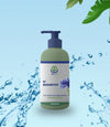Alpha Shampoo